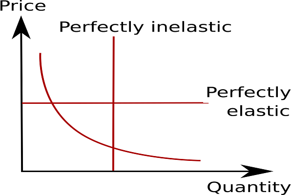 Price Elasticity Analysis
