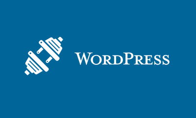 plugin for wordpress